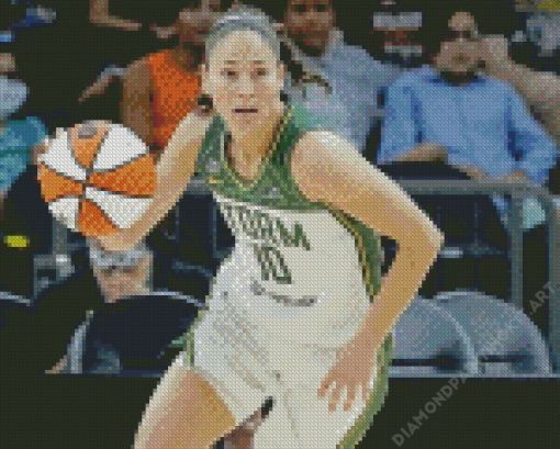 Sue Bird Diamond Painting