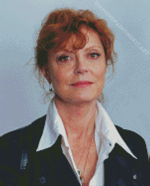 Susan Sarandon Diamond Painting