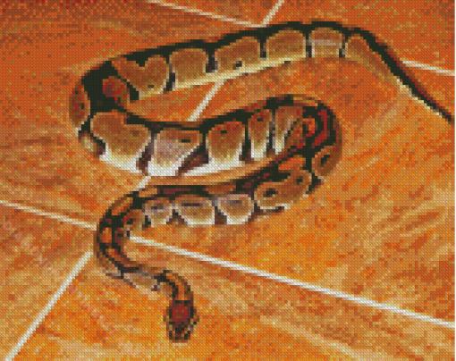 The Ball Python Diamond Painting