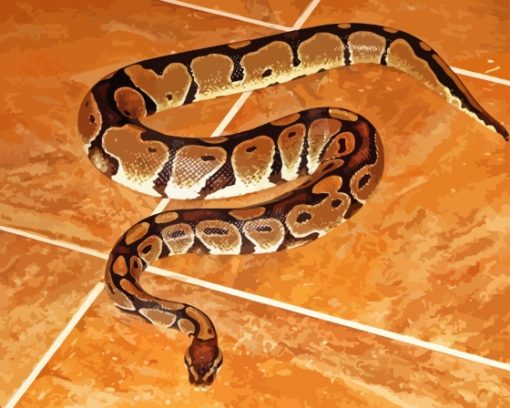 The Ball Python Diamond Painting