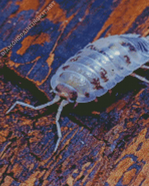 Transparent Isopod Diamond Painting