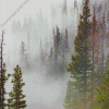 Fog Forest Diamond Painting