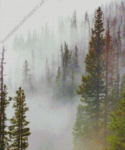 Fog Forest Diamond Painting