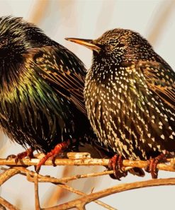 Starling Birds Diamond Painting