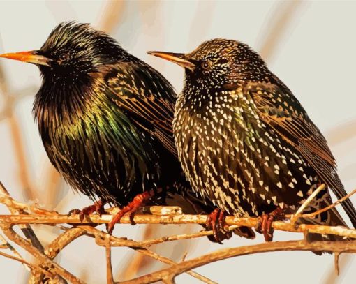 Starling Birds Diamond Painting