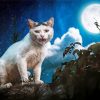 Cat And Moon Diamond Painting