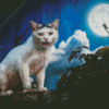 Cat And Moon Diamond Painting