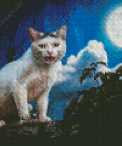 Cat And Moon Diamond Painting