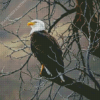 Brown Eagle Diamond Painting