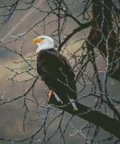 Brown Eagle Diamond Painting