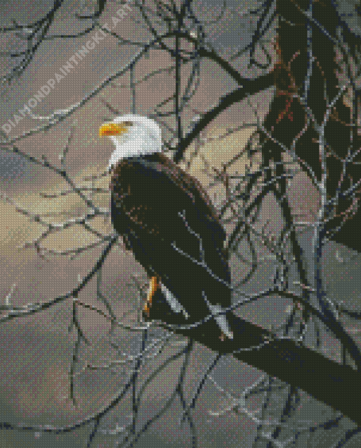 Brown Eagle Diamond Painting