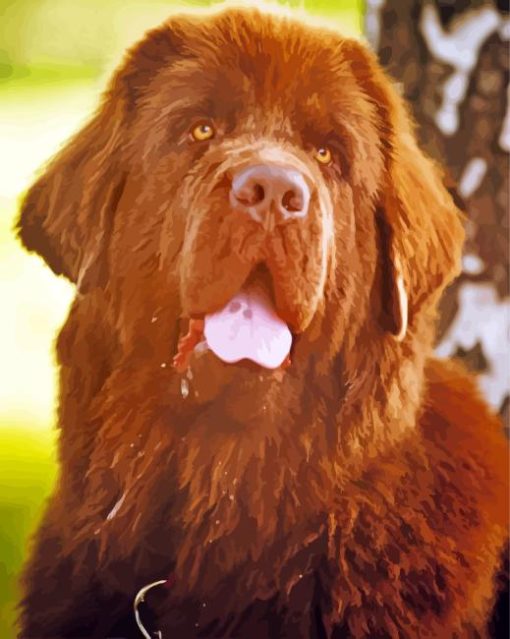 Brown Newfoundland Diamond Painting