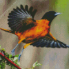 Baltimore Oriole Diamond Painting