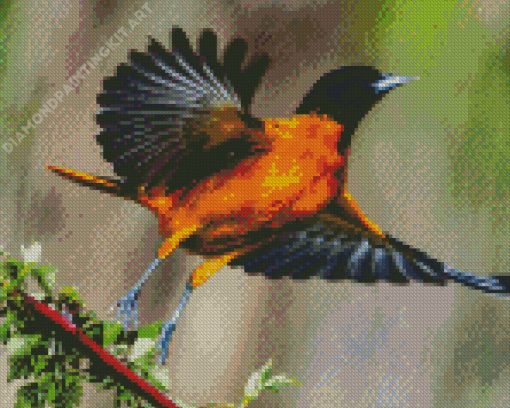 Baltimore Oriole Diamond Painting