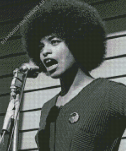 Angela Davis Diamond Painting