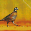 Bobwhite Quail Diamond Painting