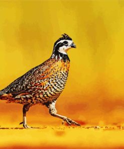 Bobwhite Quail Diamond Painting