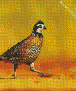 Bobwhite Quail Diamond Painting