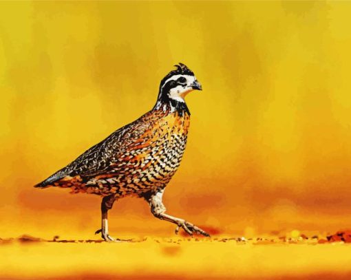 Bobwhite Quail Diamond Painting