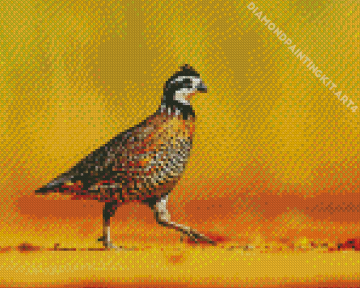 Bobwhite Quail Diamond Painting