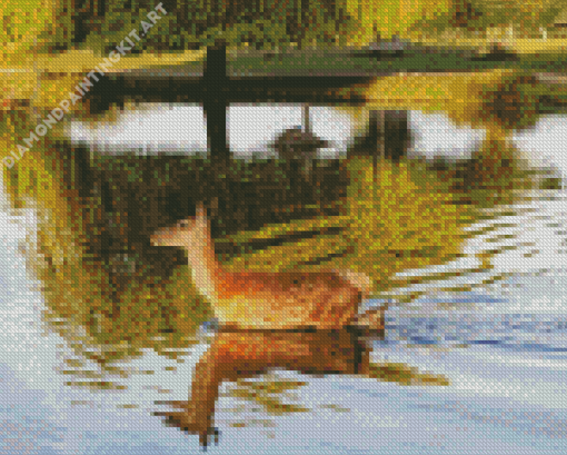 Bushy Park Diamond Painting