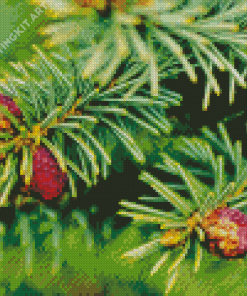 Balsam Fir Plant Diamond Painting