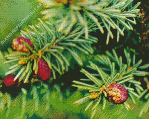 Balsam Fir Plant Diamond Painting