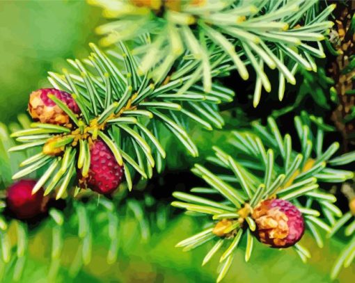 Balsam Fir Plant Diamond Painting