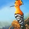 The Hoopoe Diamond Painting