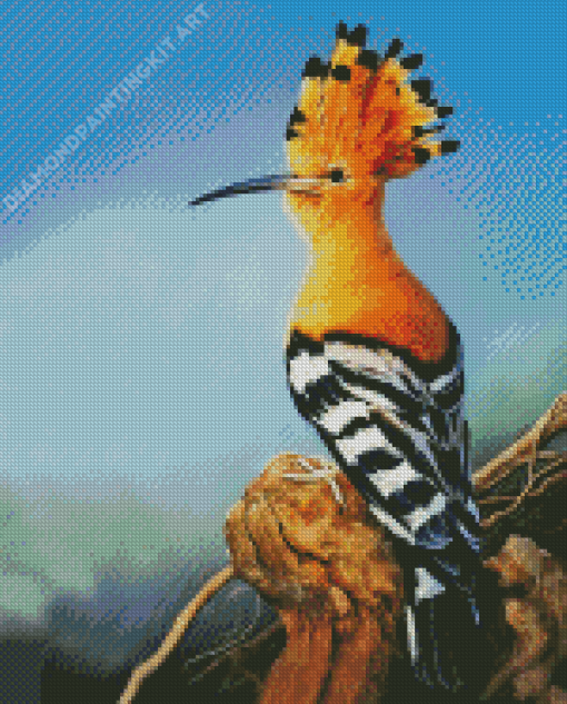 The Hoopoe Diamond Painting