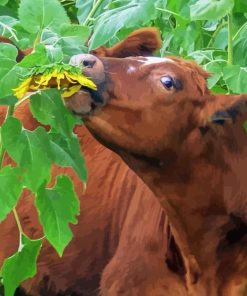 Cow In Field Diamond Painting