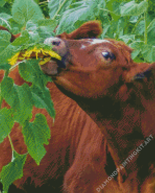 Cow In Field Diamond Painting