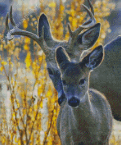 Doe And Fawn Animals Diamond Painting