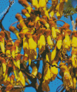 Flowering Kowhai Diamond Painting