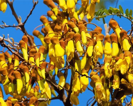 Flowering Kowhai Diamond Painting