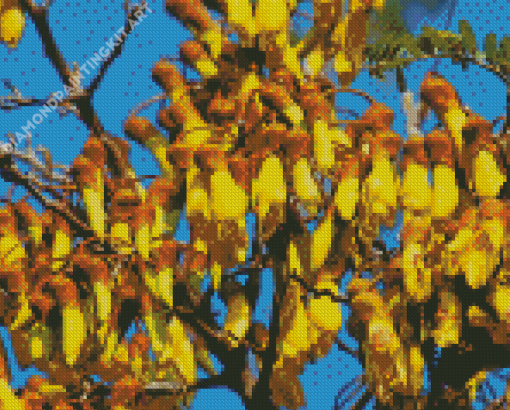 Flowering Kowhai Diamond Painting