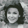 Annette Funicello Diamond Painting