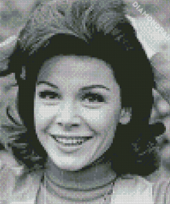 Annette Funicello Diamond Painting