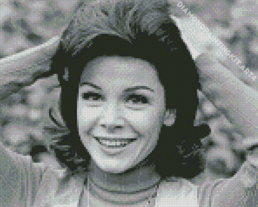 Annette Funicello Diamond Painting