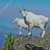 Mountain Goat Diamond Painting