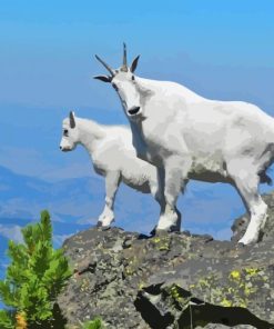 Mountain Goat Diamond Painting