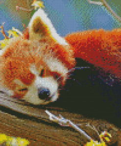 Red Panda Diamond Painting