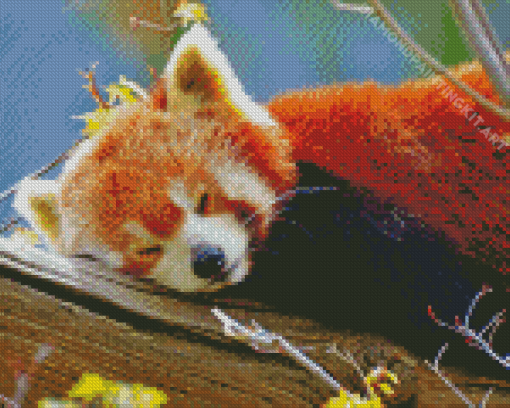 Red Panda Diamond Painting