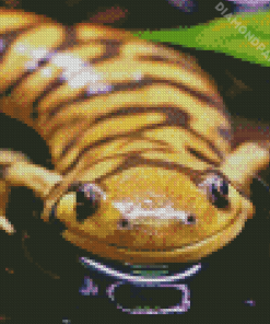 Salamander In Water Diamond Painting