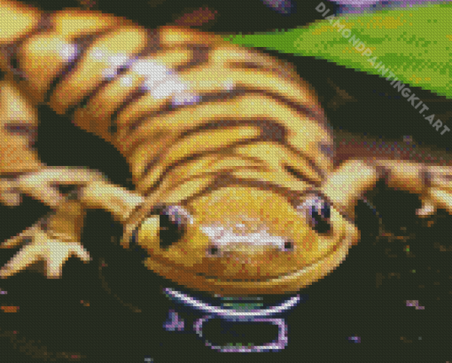 Salamander In Water Diamond Painting