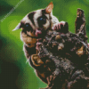 Sugar Glider Diamond Painting