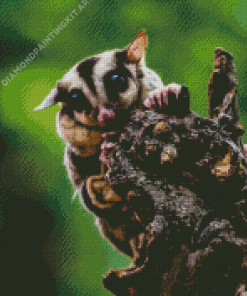 Sugar Glider Diamond Painting