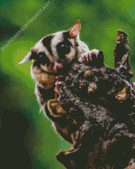 Sugar Glider Diamond Painting