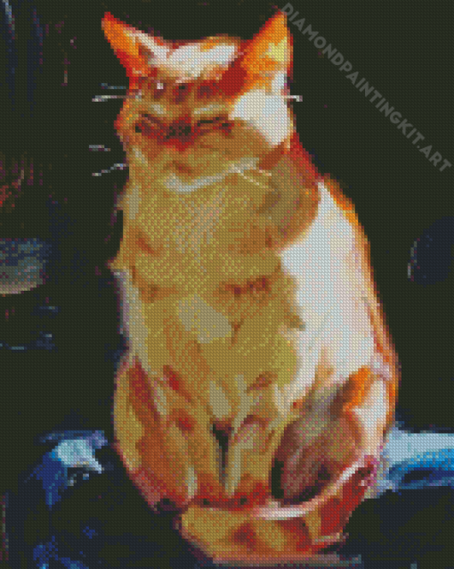 Sunlight Cat Diamond Painting