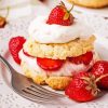 Tasty Strawberry Shortcake Diamond Painting